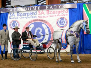 MICHMAR FRANCO - Universal Champion Single Harness Horse <br>
DRIVER: Diederik Cloete <br>
OWNER: Ansa Stud
