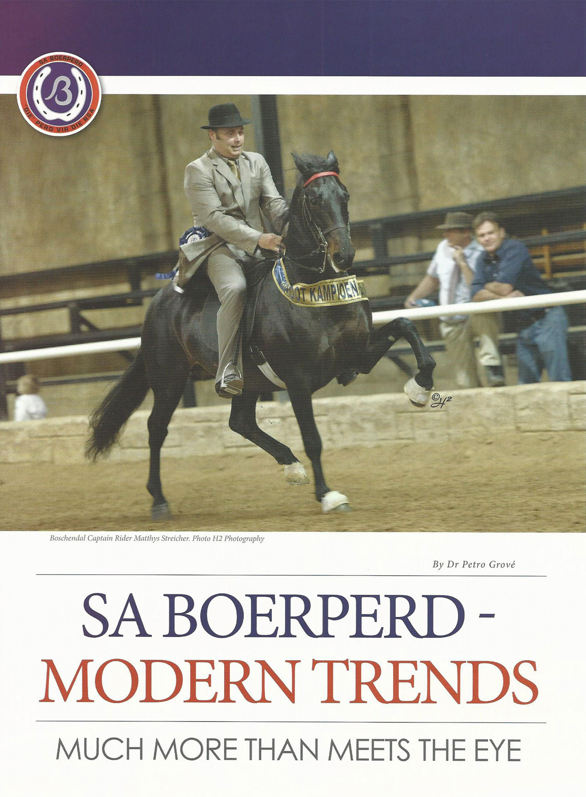 SA Boerperd Modern Trends